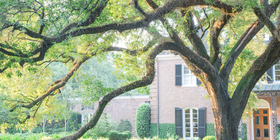 A large live oak tree with sprawling, moss-covered branches framing a two-story red brick home with dark shutters in bright sunlight.
